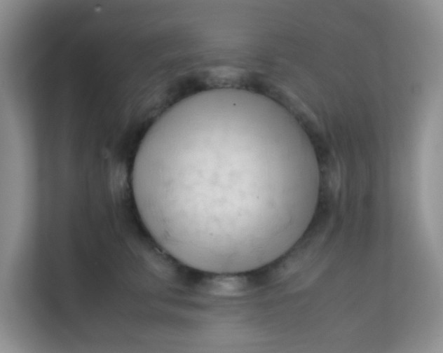 X0000111600711200907301447
