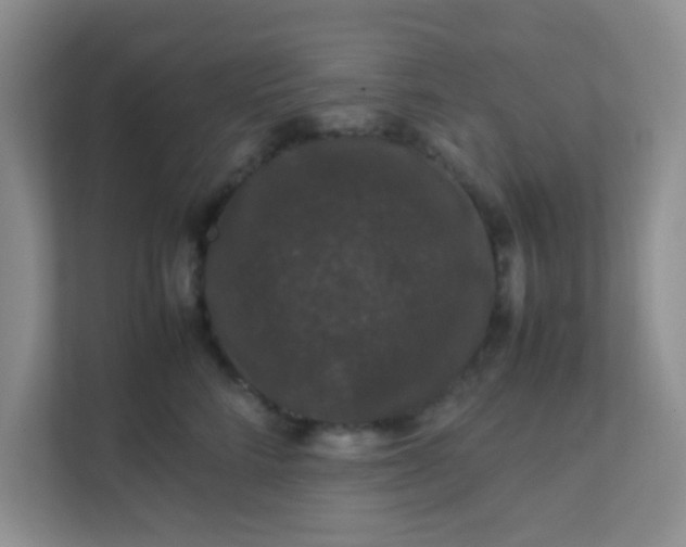 X0000111600712200907301447