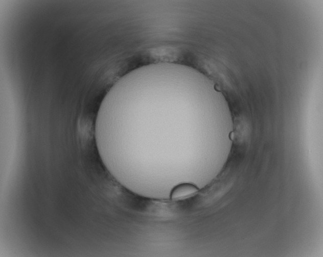 X0000111600713200907301447