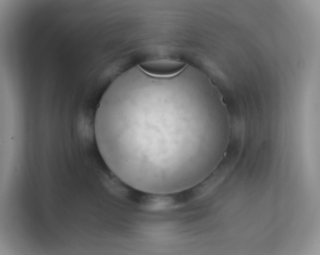 X0000111600719200907301446