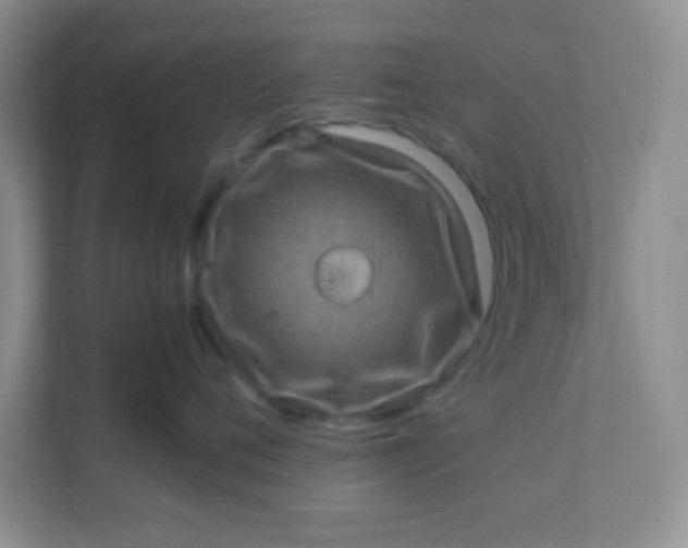 X0000111600720200907301446