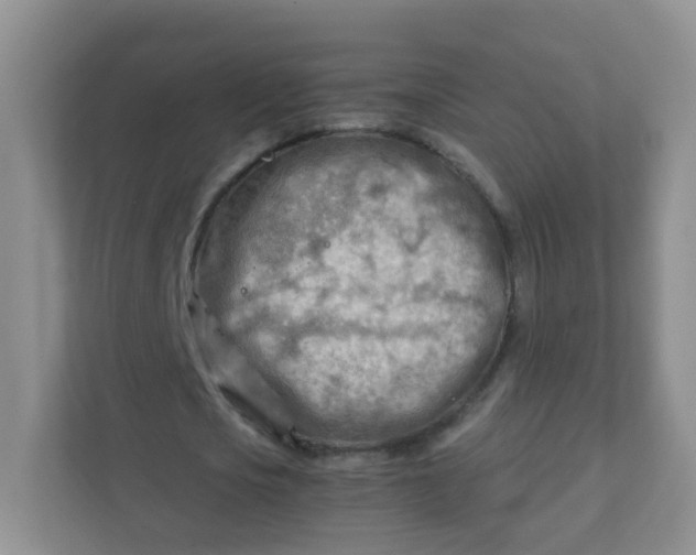 X0000111600721200907301446