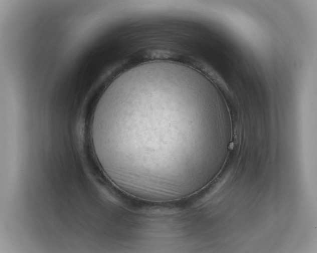 X0000111600722200907301446