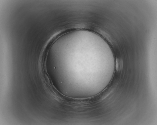 X0000111600723200907301446
