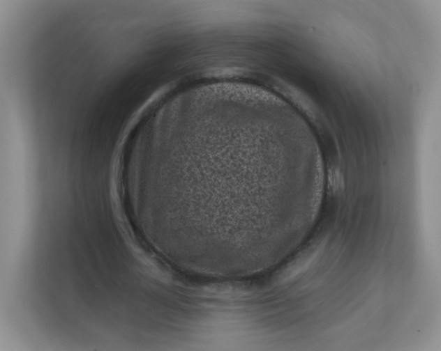 X0000111600724200907301446
