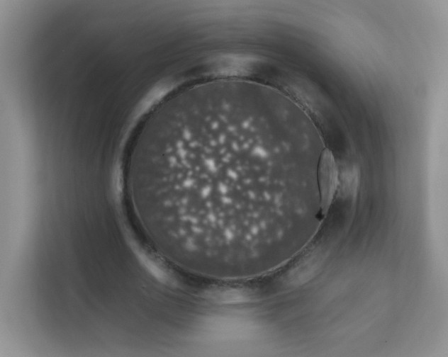 X0000111600726200907301446