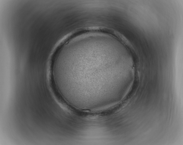 X0000111600728200907301446
