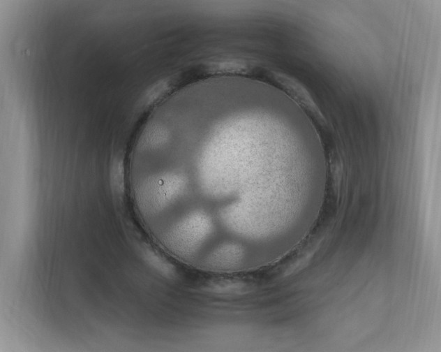 X0000111600729200907301446