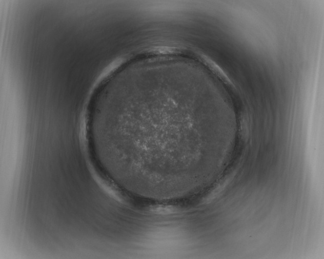 X0000111600730200907301446