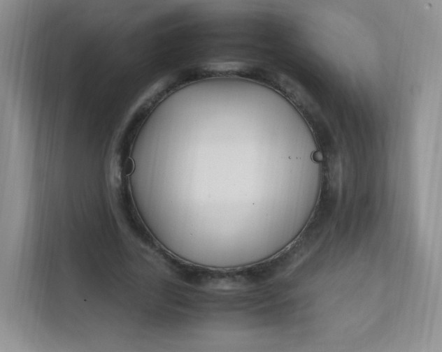 X0000111600731200907301446