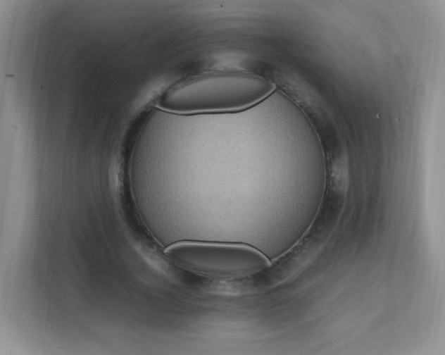X0000111600732200907301446