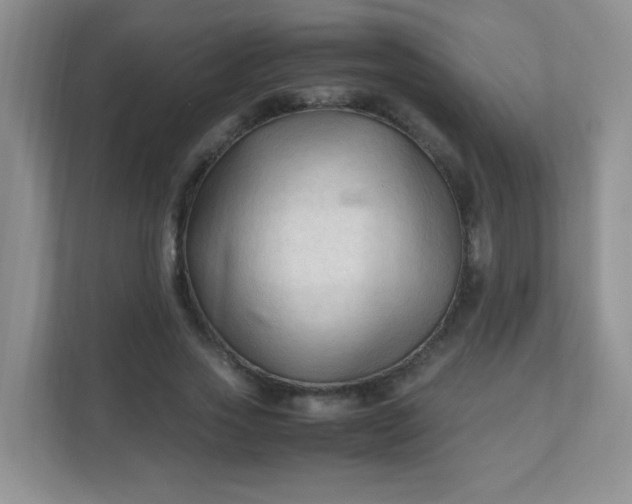X0000111600733200907301446