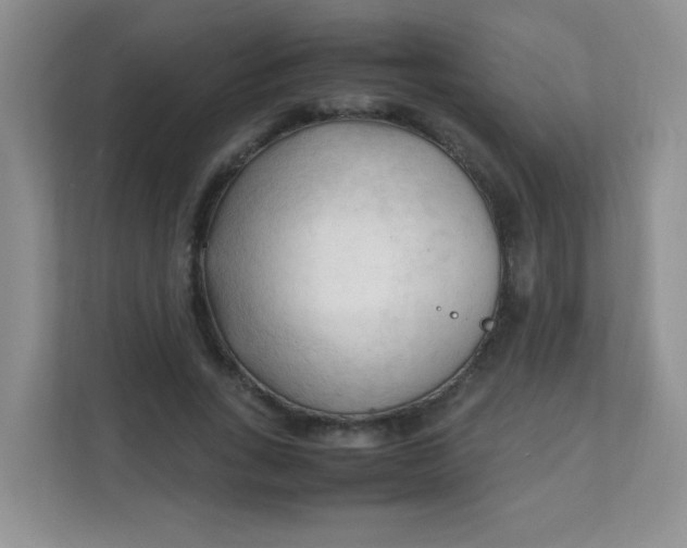 X0000111600735200907301446