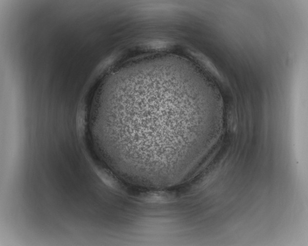 X0000111600736200907301446