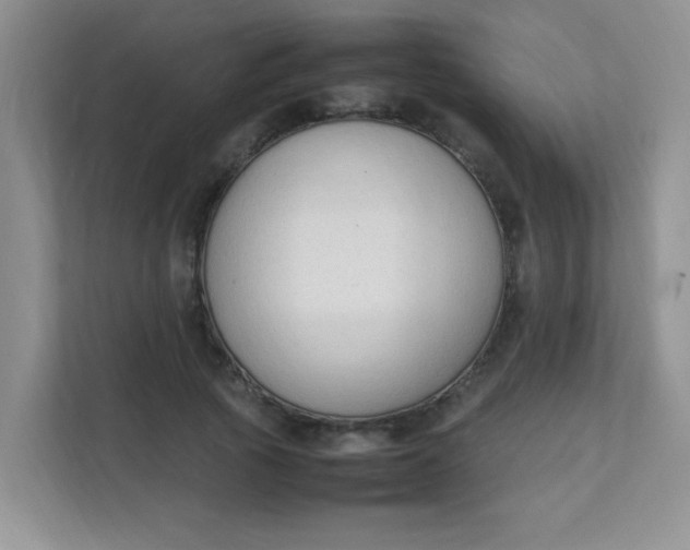 X0000111600737200907301446