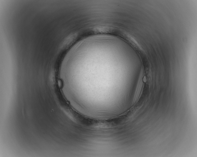 X0000111600738200907301446