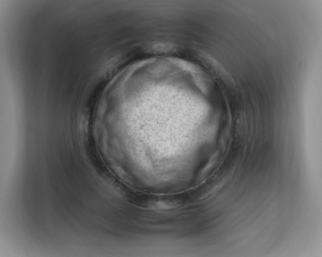 X0000111600739200907301446