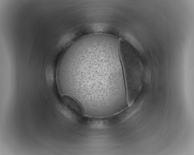 X0000111600740200907301446