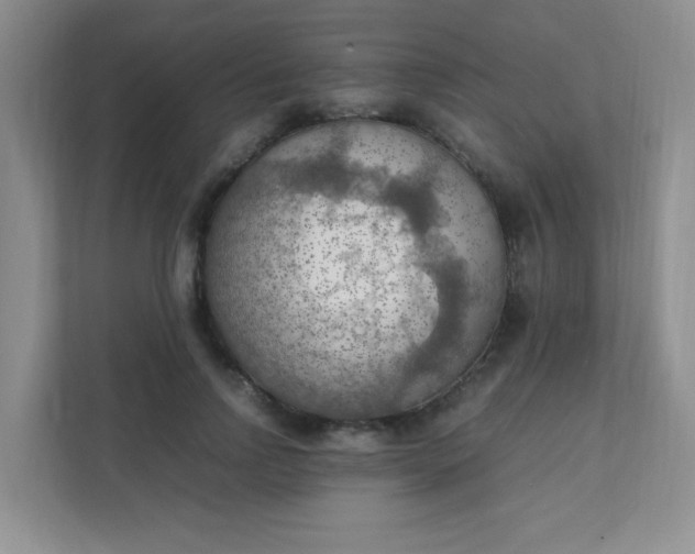 X0000111600742200907301446