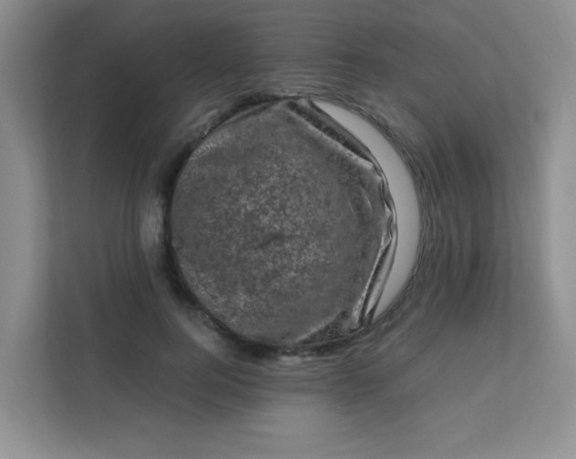 X0000111600744200907301446