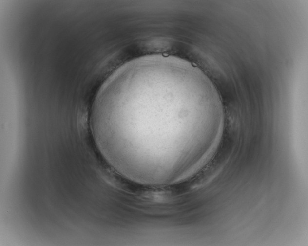 X0000111600745200907301446