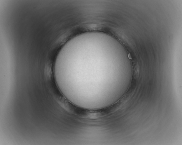 X0000111600746200907301446