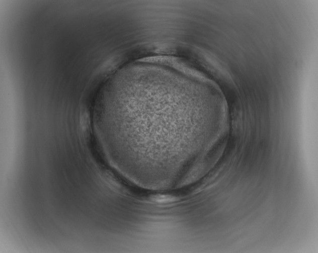X0000111600748200907301446