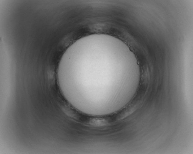 X0000111600749200907301446