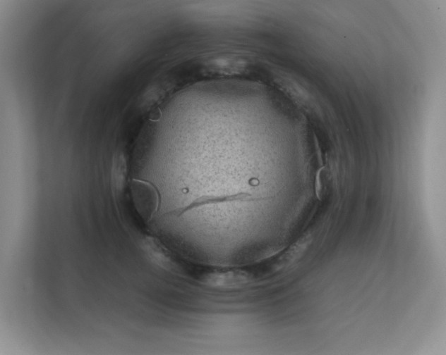 X0000111600752200907301446