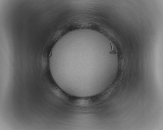 X0000111600756200907301446