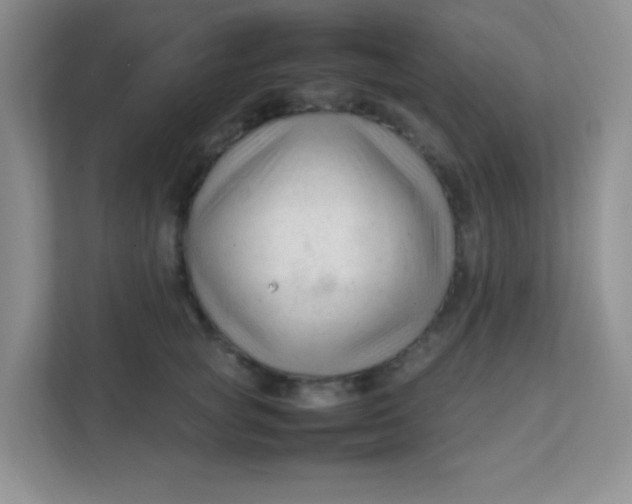 X0000111600757200907301446