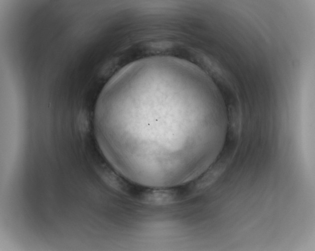 X0000111600758200907301446
