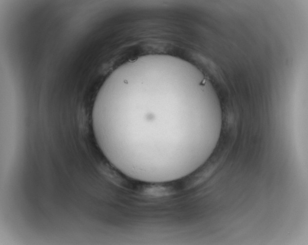 X0000111600759200907301446