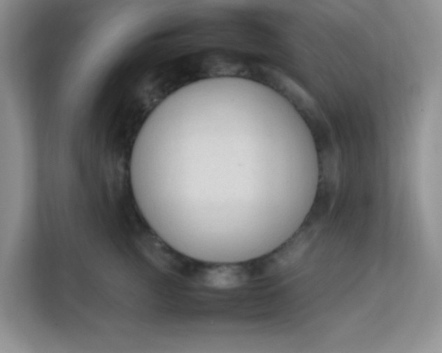 X0000111600761200907301446