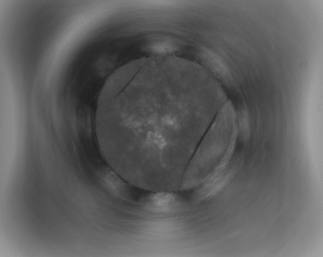 X0000111600762200907301446