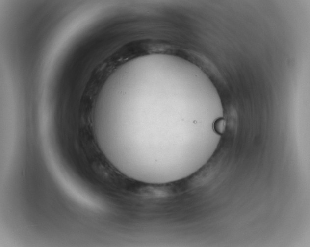 X0000111600763200907301446
