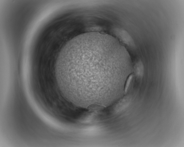 X0000111600764200907301446