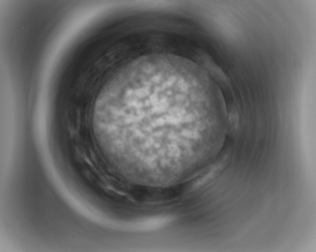 X0000111600765200907301446