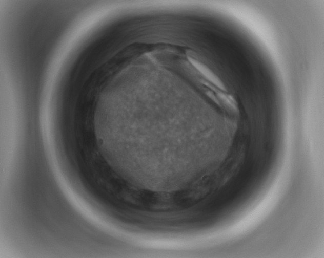 X0000111600766200907301446