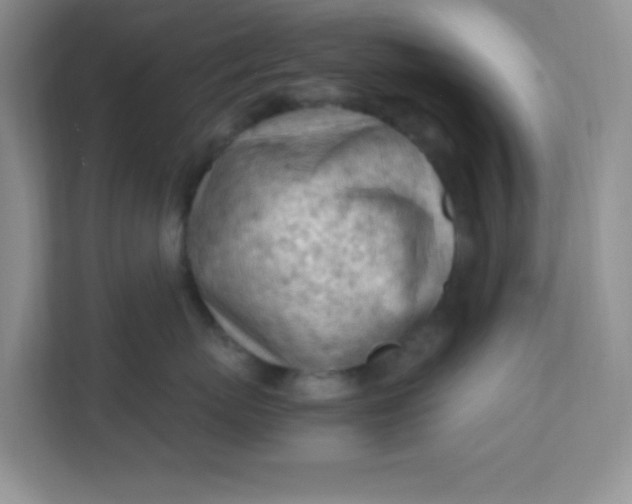 X0000111600767200907301446