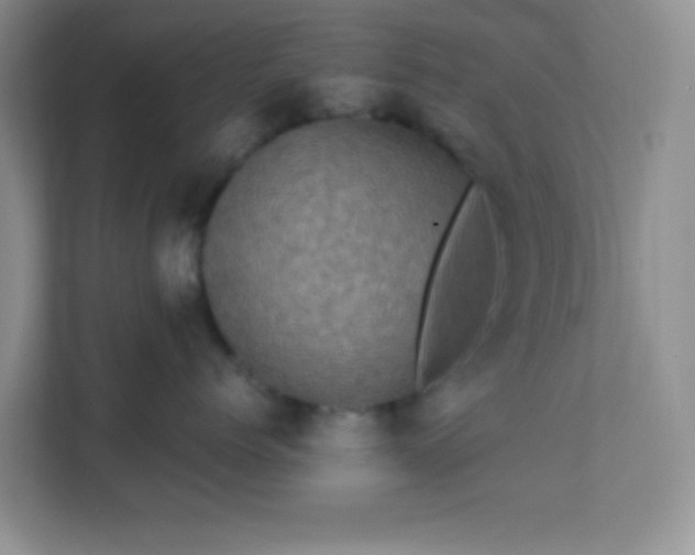 X0000111600768200907301446