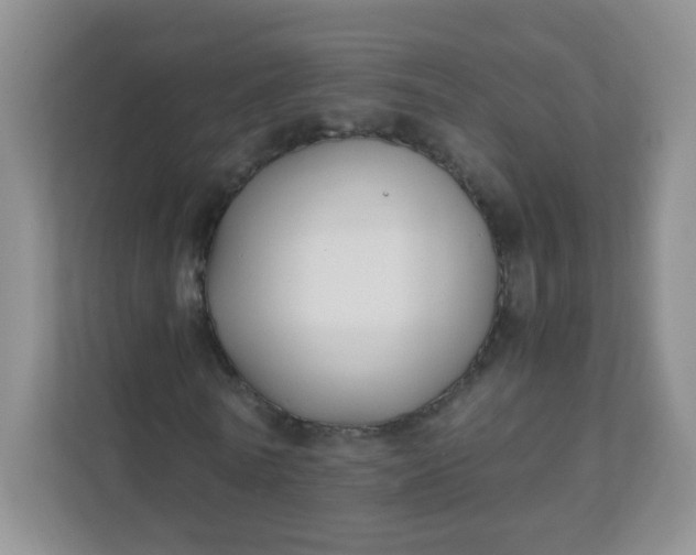 X0000111600770200907301446