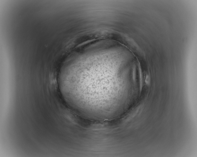 X0000111600771200907301446