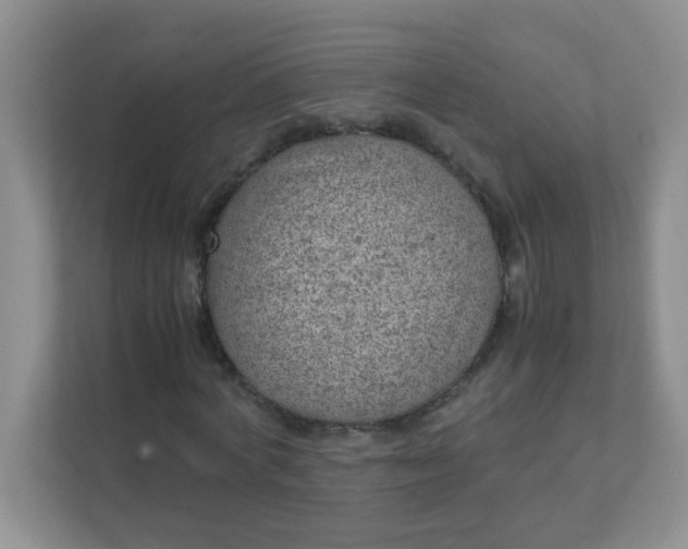 X0000111600772200907301446