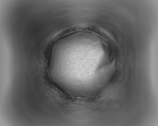 X0000111600773200907301446