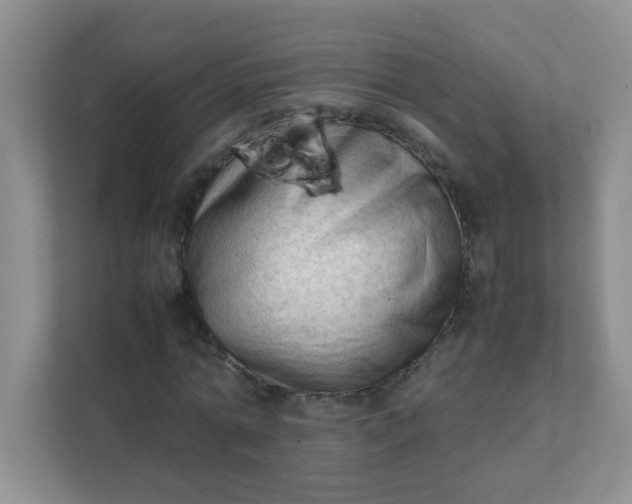 X0000111600774200907301446