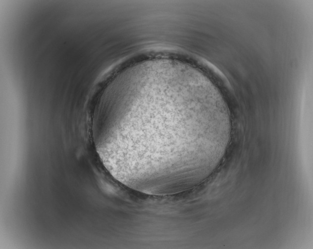 X0000111600775200907301446