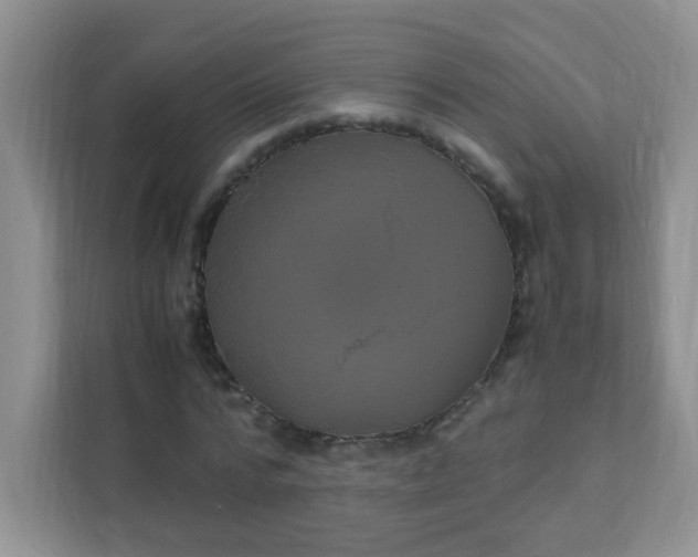 X0000111600776200907301446