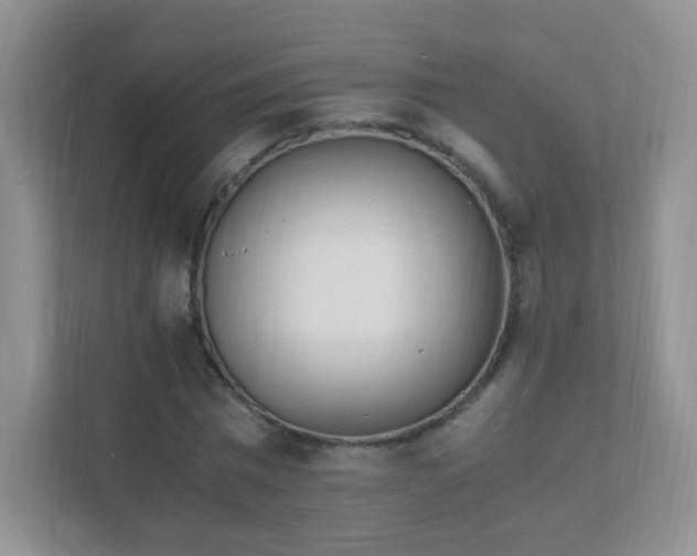 X0000111600777200907301446