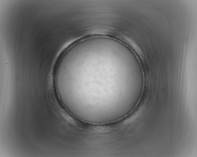 X0000111600779200907301446